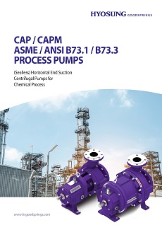 Hyosung Goodsprings_ANSI Pumps_CAP_CAPM_Brochure 2023.jpg