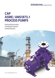 Hyosung Goodsprings_ANSI Pumps_CAP_Brochure(EN) 2022 - 표지.jpg